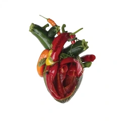 Carcass Torn Arteries (CD)