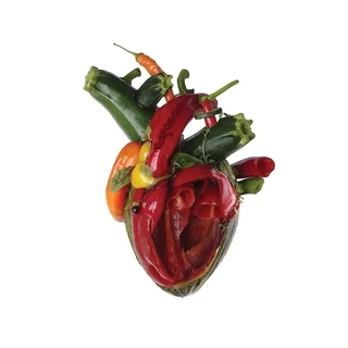 Carcass Torn Arteries (CD)