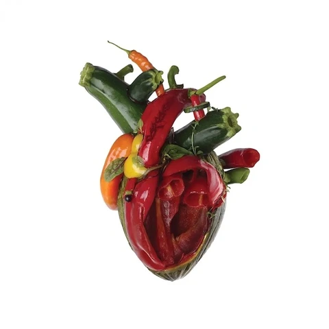 Carcass Torn Arteries (CD) 