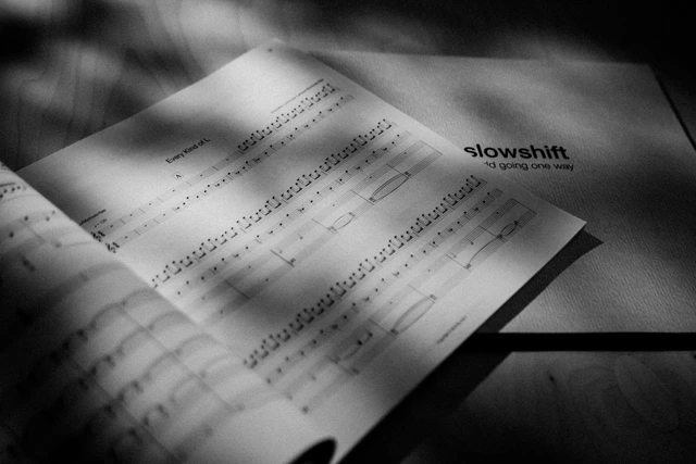 Slowshift World Going One Way - LTD (2LP) 