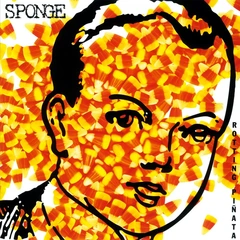 Sponge Rotting Pinata - LTD (LP)