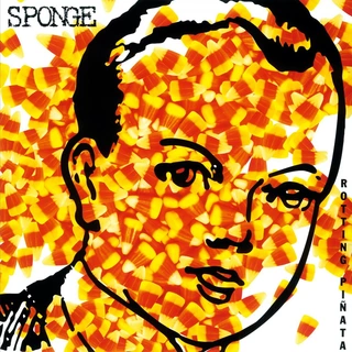 Sponge Rotting Pinata - LTD (LP)