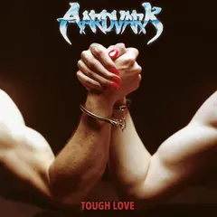 Aardvark Tough Love (LP)