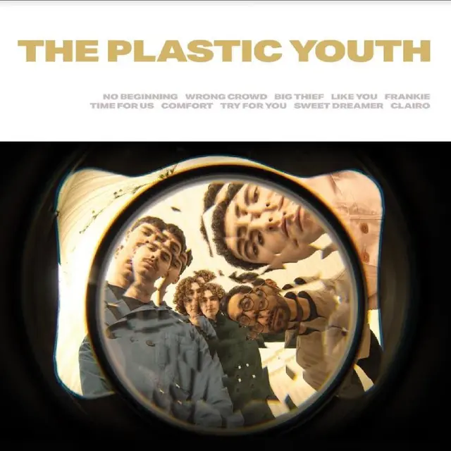 The Plastic Youth The Plastic Youth (LP) 