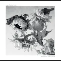 And Also The Trees Mother-Of-Pearl Moon (LP)