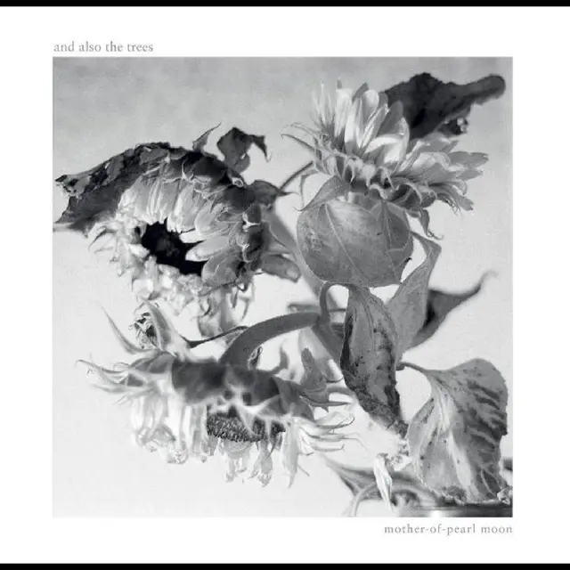 And Also The Trees Mother-Of-Pearl Moon (LP) 