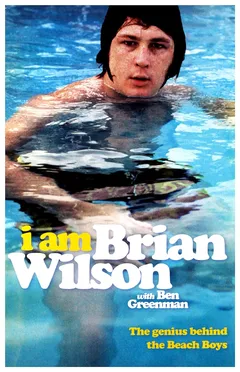 Brian Wilson I Am Brian Wilson (BOK)