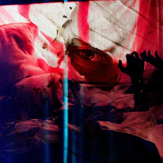 Ussel Engle & Blå Mærker - LTD (LP) 