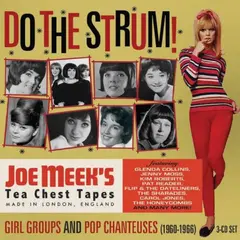 Diverse Artister Do The Strum! - Joe Meek's Girl… (3CD)