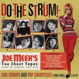 Diverse Artister Do The Strum! - Joe Meek's Girl… (3CD)