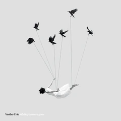 Vestbo Trio While You Were Gone (CD)