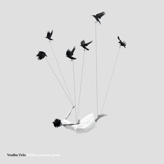 Vestbo Trio While You Were Gone (CD)