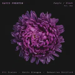 David Preston Purple / Black Vol.1 (LP)