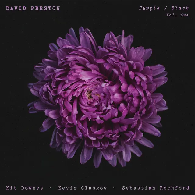 David Preston Purple / Black Vol.1 (LP) 