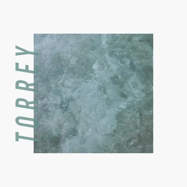 Torrey Torrey - LTD (LP) 