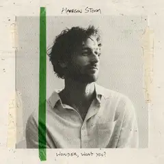 Harrison Storm Wonder, Won't You - LTD (LP)
