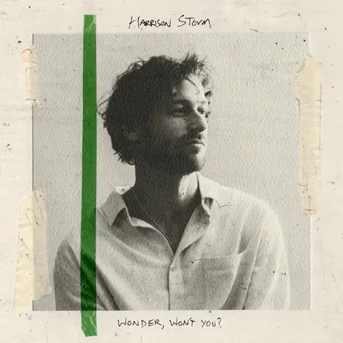 Harrison Storm Wonder, Won't You - LTD (LP) 