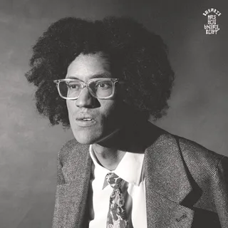 Beharie Are You There, Boy? (LP)