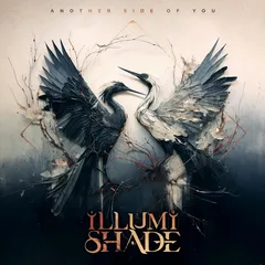 Illumishade Another Side Of You (2LP)