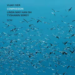 Vijay Iyer Compassion (CD)