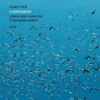 Vijay Iyer Compassion (CD)