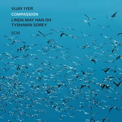 Vijay Iyer Compassion (2LP)