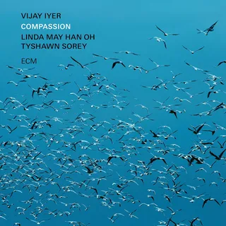 Vijay Iyer Compassion (2LP)