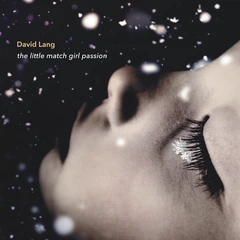 David Lang The Little Match Girl Passion (LP)
