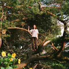 Packs Melt The Honey (LP)