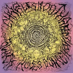 Charles Moothart Black Holes Don't Choke (LP)
