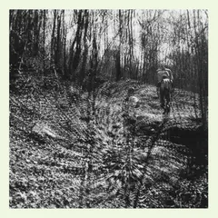Topographies Interior Spring (LP)