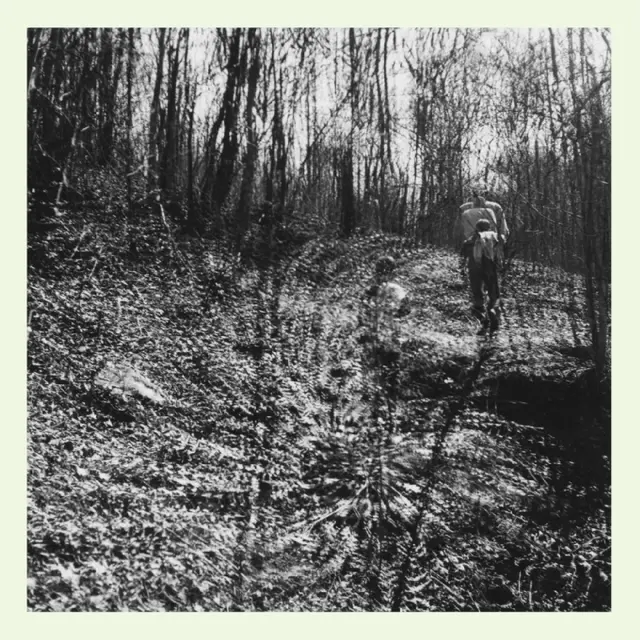 Topographies Interior Spring (LP) 