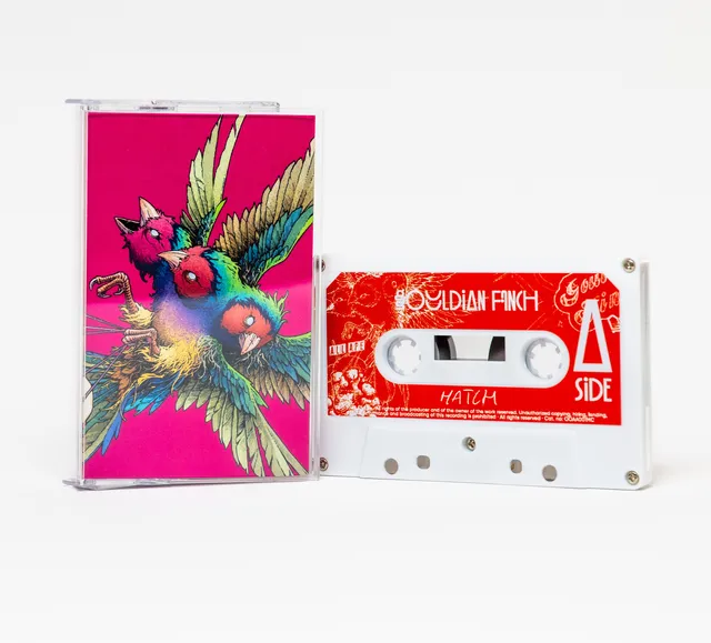 Gouldian Finch Hatch (MC) 