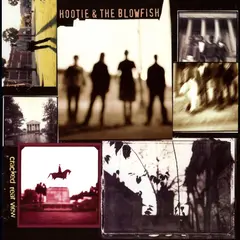 Hootie &amp; The Blowfish Cracked Rear View - LTD 45rpm (2LP)