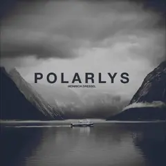 Heinrich Dressel Polarlys (LP)