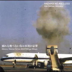 Les Rallizes Denudes Flightless Bird Needs… - Vol. 1 (LP)