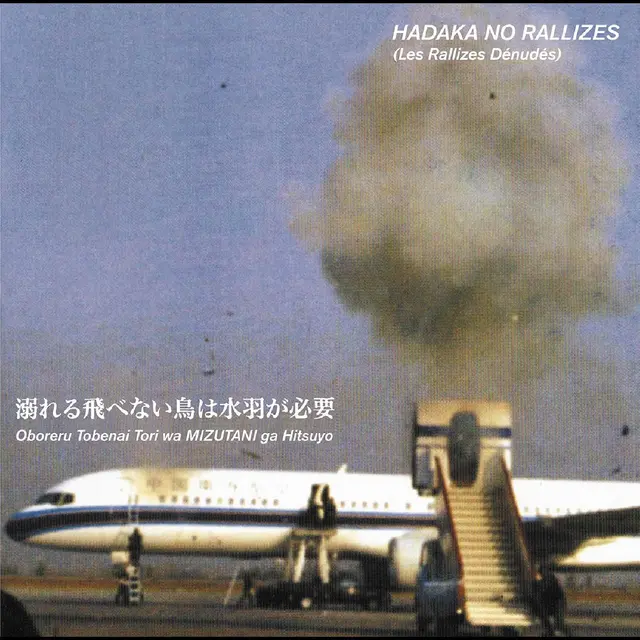 Les Rallizes Denudes Flightless Bird Needs… - Vol. 1 (LP) 