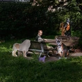 Bror Forsgren I Dreamt I Was Dreaming (LP)