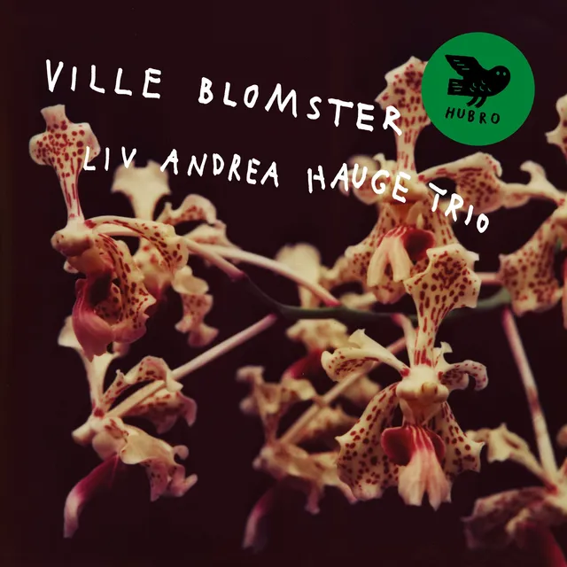 Liv Andrea Hauge Trio Ville Blomster (LP) 