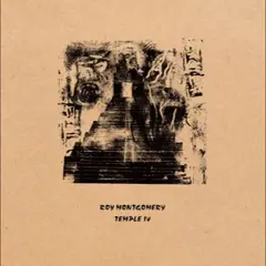 Roy Montgomery Temple IV (2LP)