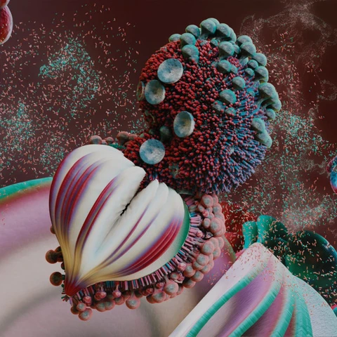 Björk Fossora - LTD Boxset (2 x 10") 