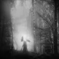 Iterum Nata From The Infinite Light (CD)