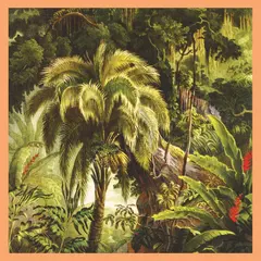 Xiu Xiu La Foret - LTD (LP)