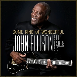 John Ellison Some Kind Of Wonderful (LP) 