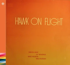 Hawk On Flight Hawk On Flight (CD)