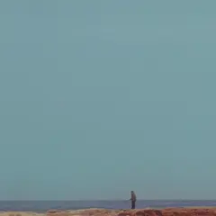 Mid-Air Thief Crumbling (LP)