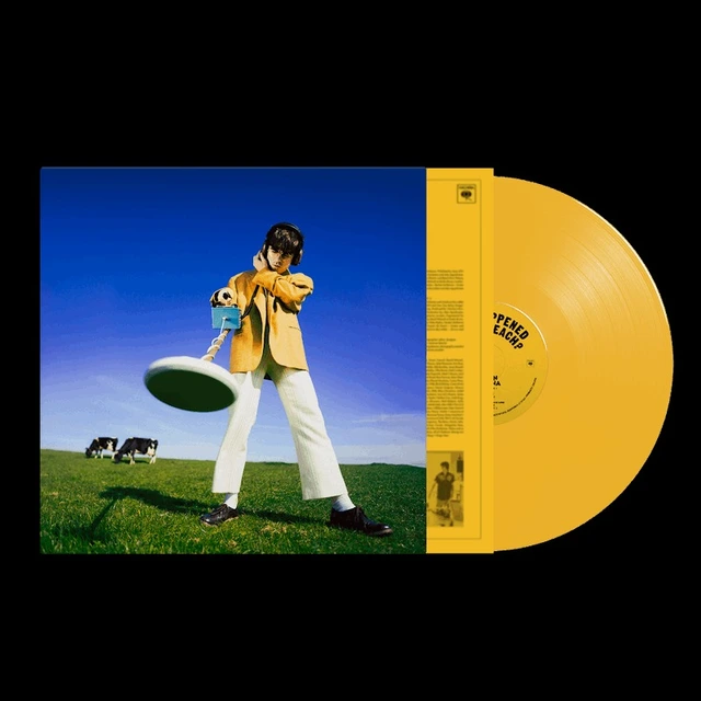 Declan McKenna What Happened To The Beach? - LTD (LP) 