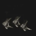 Leonov Procession (LP)