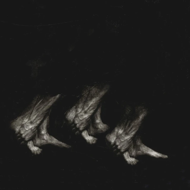 Leonov Procession (LP) 