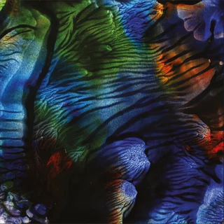 Marthe Lea Band Herlighetens Vei (LP)